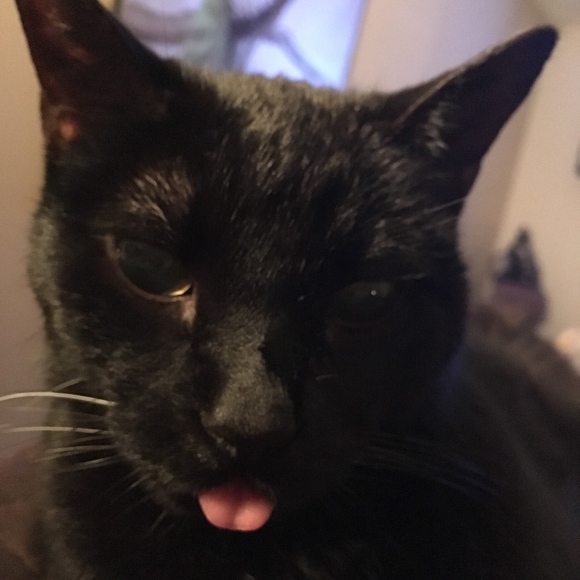 Meet your Posher, TCB - Picture 6 of 6